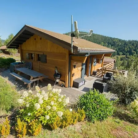 Remarquable De Montagne Au Calme Et Vue Sur Tremplin Chalet Gérardmer