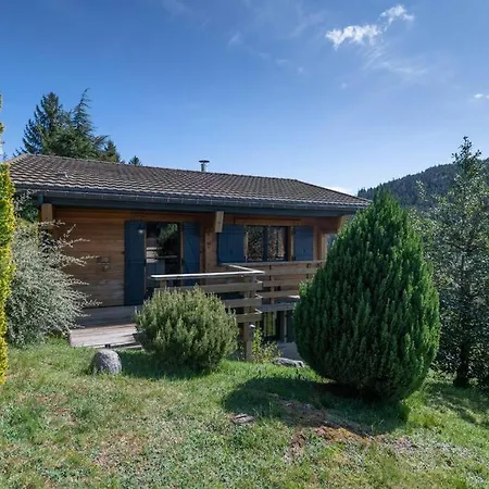 Chalet Remarquable De Montagne Au Calme Et Vue Sur Tremplin Gérardmer