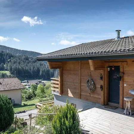 Remarquable De Montagne Au Calme Et Vue Sur Tremplin * Gérardmer
