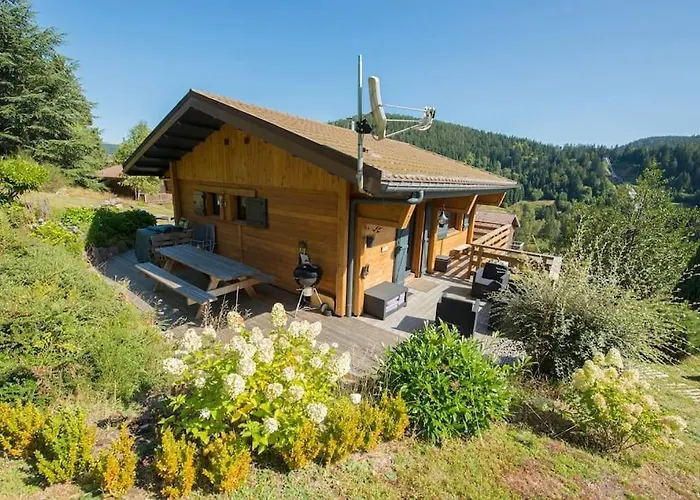 Remarquable De Montagne Au Calme Et Vue Sur Tremplin Chalet Gérardmer